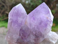 Natural Jacaranda Amethyst Quartz Crystals x 3 From Mumbwa, Zambia - Toprock Gemstones and Minerals 