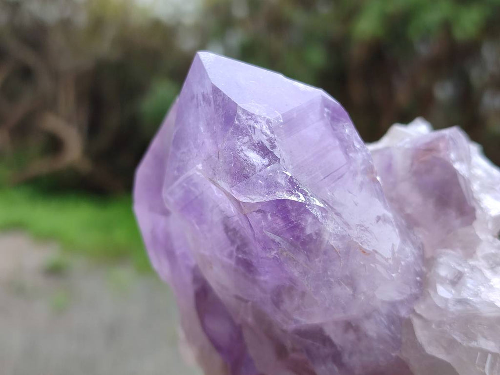 Natural Jacaranda Amethyst Quartz Crystals x 3 From Mumbwa, Zambia - Toprock Gemstones and Minerals 