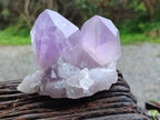 Natural Jacaranda Amethyst Quartz Crystals x 3 From Mumbwa, Zambia - Toprock Gemstones and Minerals 