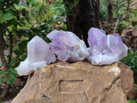 Natural Jacaranda Amethyst Quartz Crystals x 3 From Mumbwa, Zambia