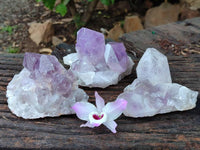 Natural Jacaranda Amethyst Quartz Crystals x 3 From Mumbwa, Zambia