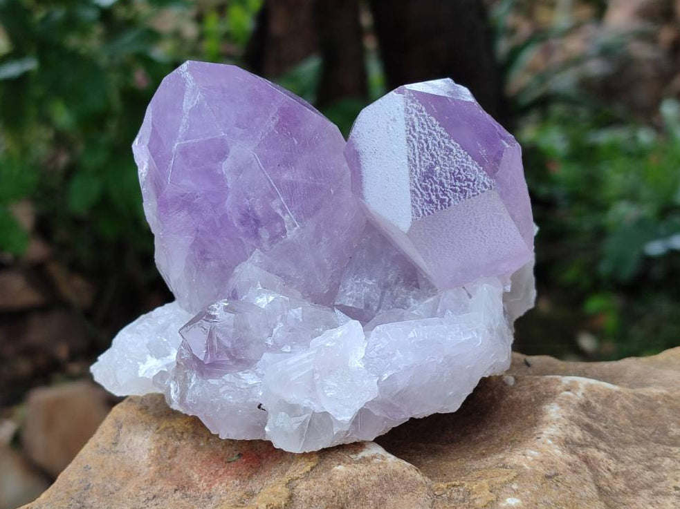 Natural Jacaranda Amethyst Quartz Crystals x 3 From Mumbwa, Zambia - Toprock Gemstones and Minerals 