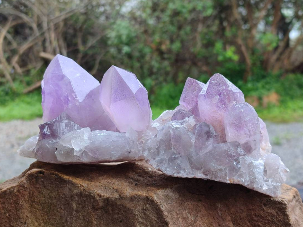 Natural Jacaranda Amethyst Quartz Crystals x 3 From Mumbwa, Zambia - Toprock Gemstones and Minerals 