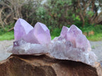 Natural Jacaranda Amethyst Quartz Crystals x 3 From Mumbwa, Zambia - Toprock Gemstones and Minerals 