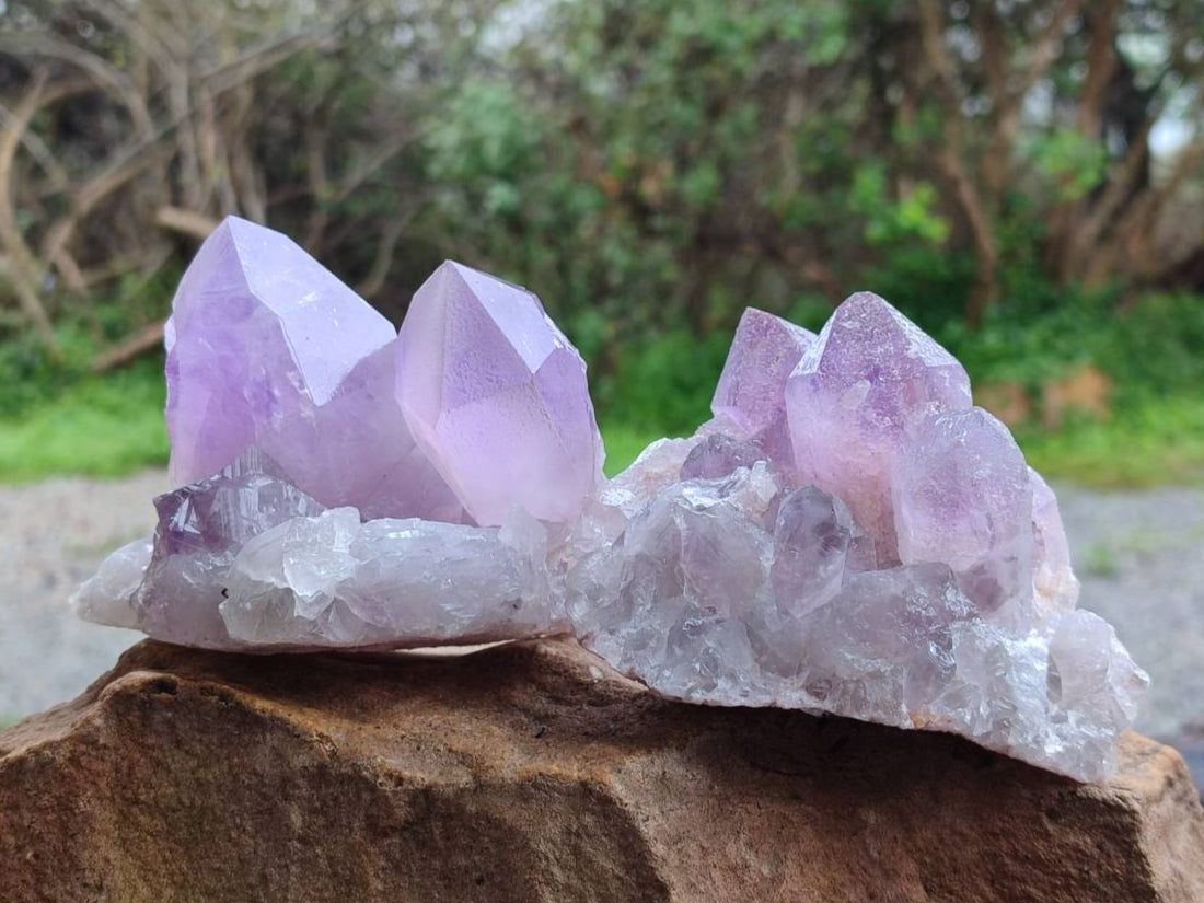 Natural Jacaranda Amethyst Quartz Crystals x 3 From Mumbwa, Zambia - Toprock Gemstones and Minerals 