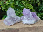 Natural Jacaranda Amethyst Quartz Crystals x 3 From Mumbwa, Zambia - Toprock Gemstones and Minerals 