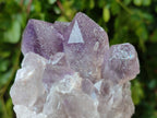 Natural Jacaranda Amethyst Quartz Crystals x 3 From Mumbwa, Zambia - Toprock Gemstones and Minerals 