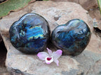 Polished Labradorite Hearts x 2 From Tulear, Madagascar - Toprock Gemstones and Minerals 