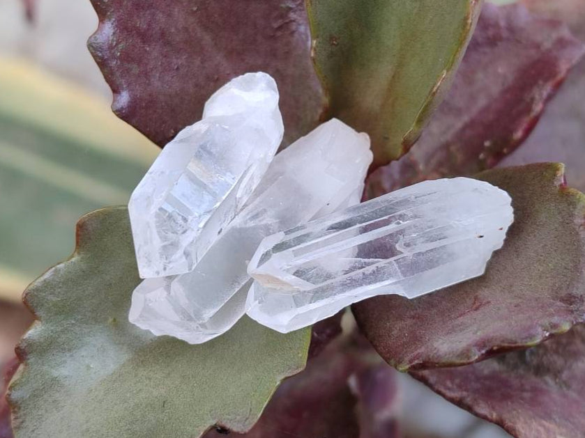 Natural Mine Run Quartz Crystals x 2.9 Kg From Madagascar - Toprock Gemstones and Minerals 