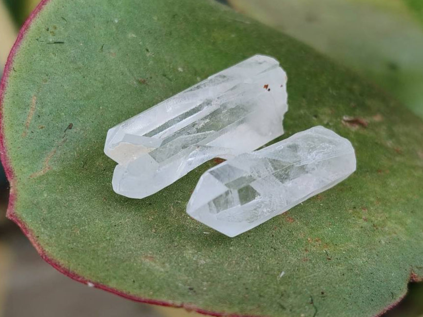 Natural Mine Run Quartz Crystals x 2.9 Kg From Madagascar - Toprock Gemstones and Minerals 