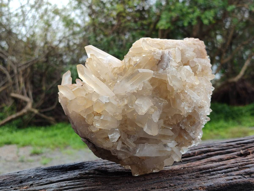 Natural Golden Healer Quartz Crystal Cluster x 1 From Ambatofinandrahana, Madagascar - Toprock Gemstones and Minerals 