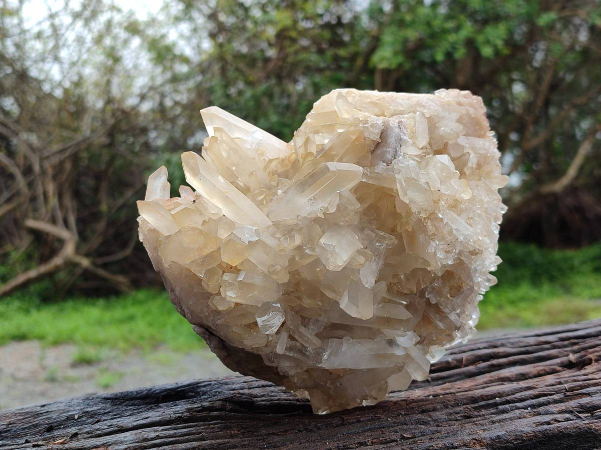 Natural Golden Healer Quartz Crystal Cluster x 1 From Ambatofinandrahana, Madagascar - Toprock Gemstones and Minerals 