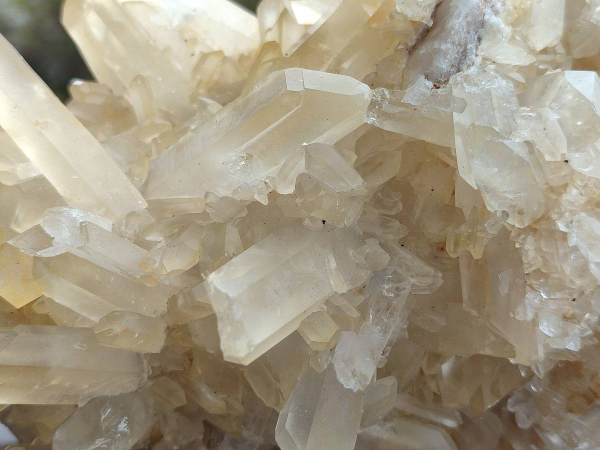 Natural Golden Healer Quartz Crystal Cluster x 1 From Ambatofinandrahana, Madagascar - Toprock Gemstones and Minerals 