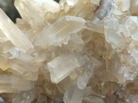 Natural Golden Healer Quartz Crystal Cluster x 1 From Ambatofinandrahana, Madagascar