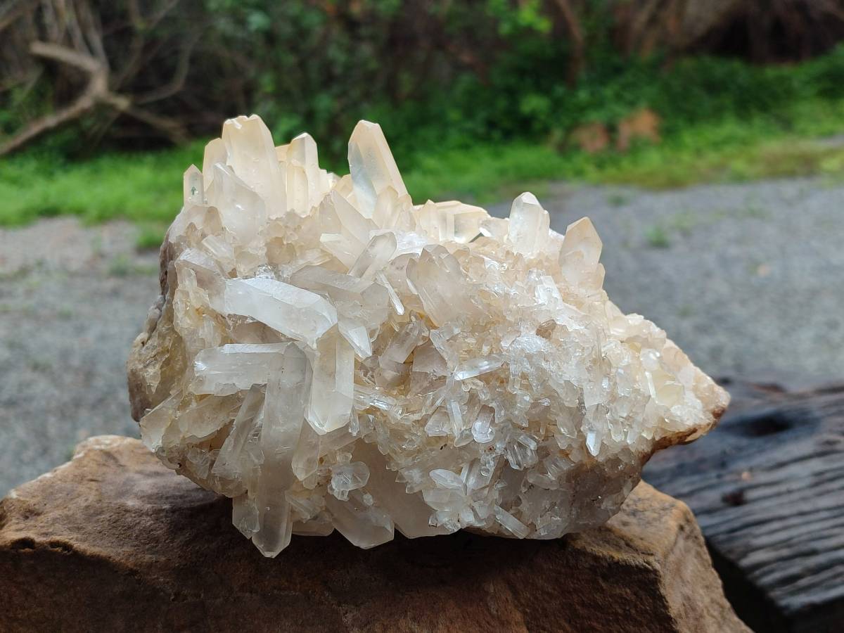 Natural Golden Healer Quartz Crystal Cluster x 1 From Ambatofinandrahana, Madagascar - Toprock Gemstones and Minerals 