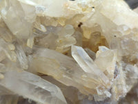 Natural Golden Healer Quartz Crystal Cluster x 1 From Ambatofinandrahana, Madagascar