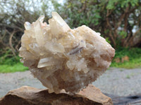Natural Golden Healer Quartz Crystal Cluster x 1 From Ambatofinandrahana, Madagascar
