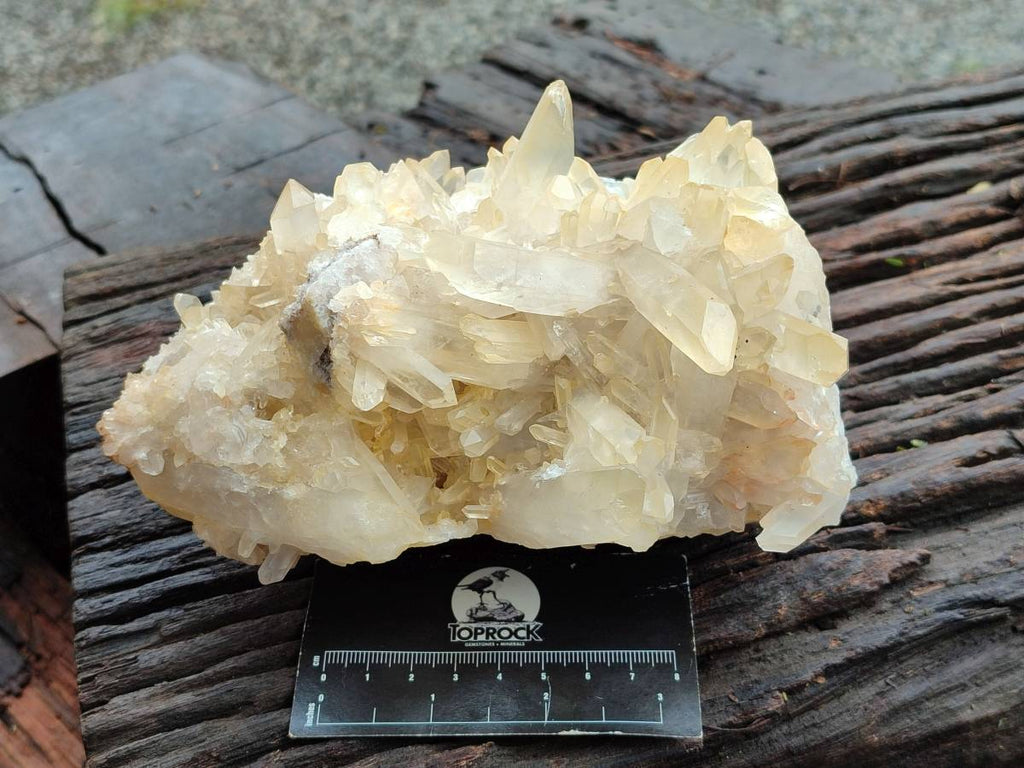 Natural Golden Healer Quartz Crystal Cluster x 1 From Ambatofinandrahana, Madagascar - Toprock Gemstones and Minerals 