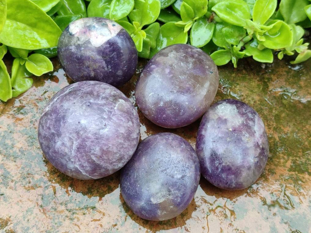 Polished Lepidolite Palm Stones x 12 From Ambatondrazaka, Madagascar - Toprock Gemstones and Minerals 