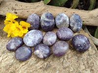 Polished Lepidolite Palm Stones x 12 From Ambatondrazaka, Madagascar