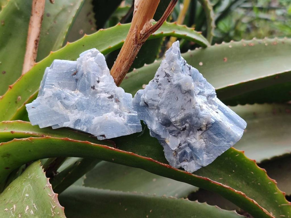 Natural Sky Blue Calcite Specimens x 12 From Namibia - Toprock Gemstones and Minerals 