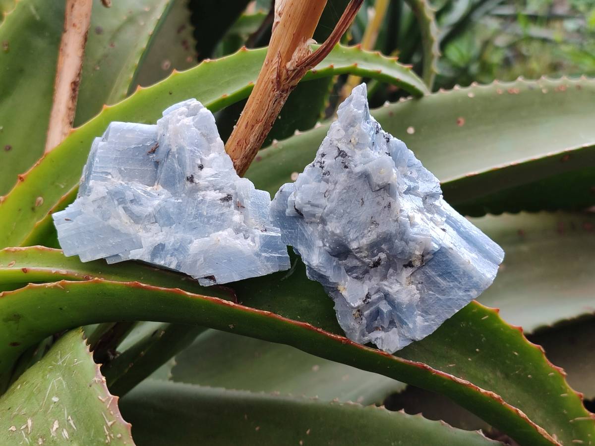 Natural Sky Blue Calcite Specimens x 12 From Namibia - Toprock Gemstones and Minerals 