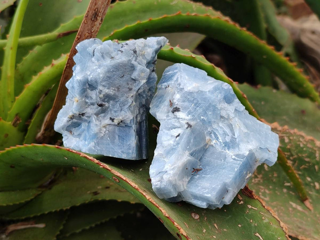 Natural Sky Blue Calcite Specimens x 12 From Namibia - Toprock Gemstones and Minerals 