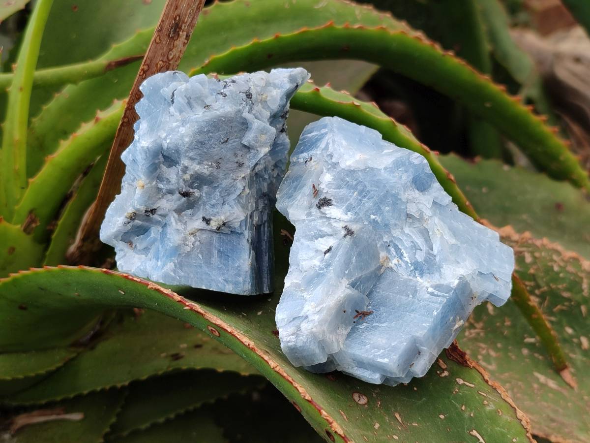 Natural Sky Blue Calcite Specimens x 12 From Namibia - Toprock Gemstones and Minerals 