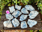 Natural Sky Blue Calcite Specimens x 12 From Namibia - Toprock Gemstones and Minerals 