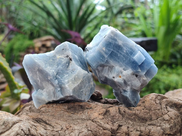 Natural Sky Blue Calcite Specimens x 12 From Namibia