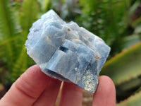 Natural Sky Blue Calcite Specimens x 12 From Namibia