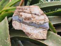 Polished On One Side Blue Lace Agate with Crazy Lace x 4 From Namibia