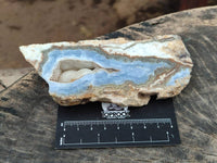 Polished On One Side Blue Lace Agate with Crazy Lace x 4 From Namibia