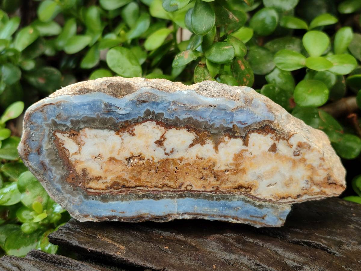 Polished On One Side Blue Lace Agate with Crazy Lace x 4 From Namibia - Toprock Gemstones and Minerals 