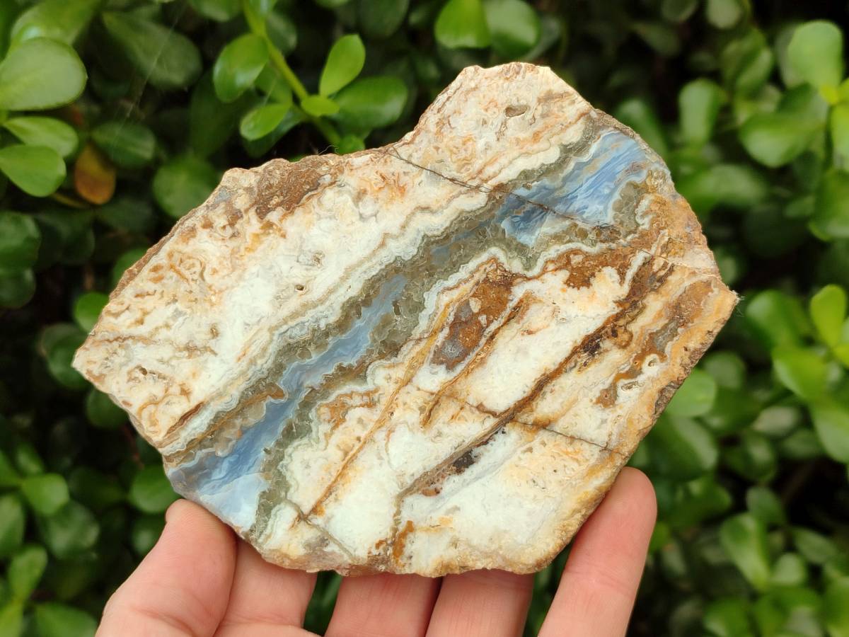 Polished On One Side Blue Lace Agate with Crazy Lace x 4 From Namibia - Toprock Gemstones and Minerals 