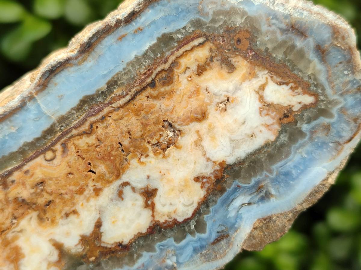 Polished On One Side Blue Lace Agate with Crazy Lace x 4 From Namibia - Toprock Gemstones and Minerals 