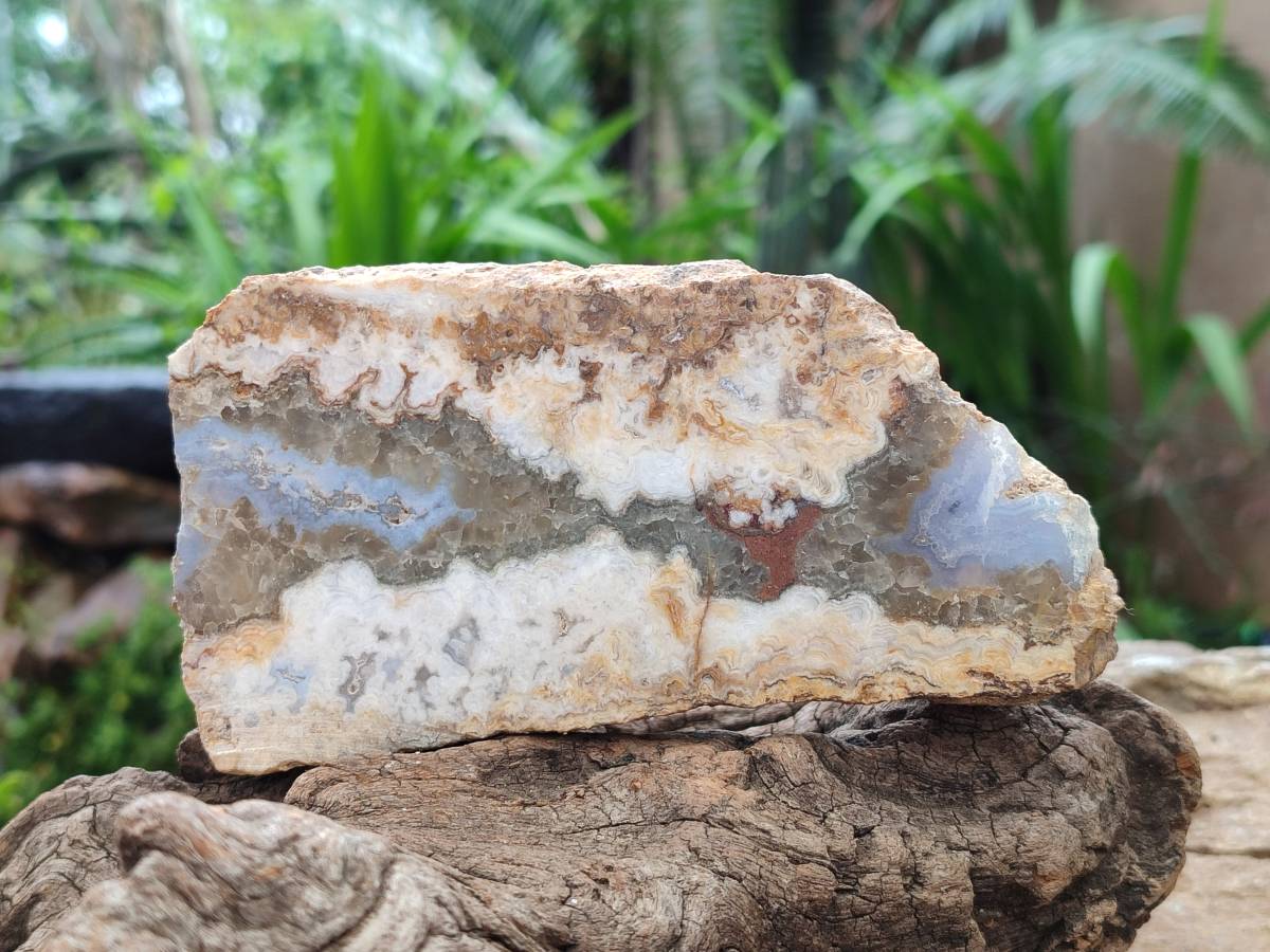 Polished On One Side Blue Lace Agate with Crazy Lace x 4 From Namibia - Toprock Gemstones and Minerals 