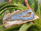 Polished On One Side Blue Lace Agate with Crazy Lace x 4 From Namibia - Toprock Gemstones and Minerals 