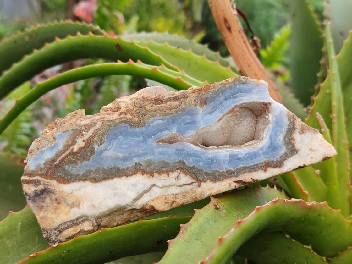 Polished On One Side Blue Lace Agate with Crazy Lace x 4 From Namibia - Toprock Gemstones and Minerals 