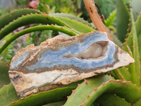 Polished On One Side Blue Lace Agate with Crazy Lace x 4 From Namibia