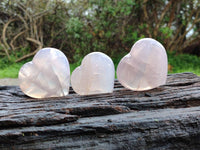 Polished Rose Quartz Hearts x 12 From Madagascar