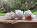 Natural Amethyst Spirit Quartz Clusters x 20 From Boekenhouthoek, South Africa - Toprock Gemstones and Minerals 