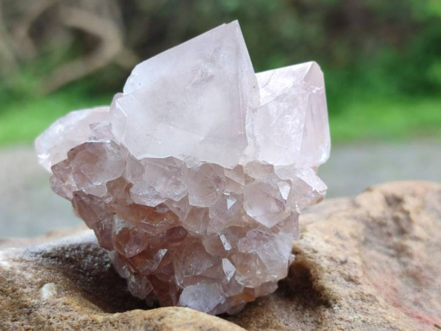 Natural Amethyst Spirit Quartz Clusters x 20 From Boekenhouthoek, South Africa - Toprock Gemstones and Minerals 