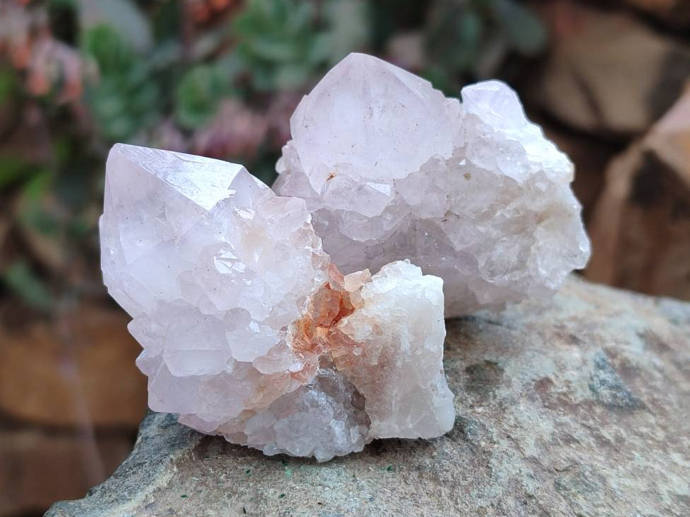 Natural Amethyst Spirit Quartz Clusters x 20 From Boekenhouthoek, South Africa - Toprock Gemstones and Minerals 