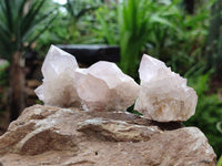 Natural Amethyst Spirit Quartz Clusters x 20 From Boekenhouthoek, South Africa