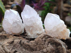 Natural Amethyst Spirit Quartz Clusters x 20 From Boekenhouthoek, South Africa - Toprock Gemstones and Minerals 