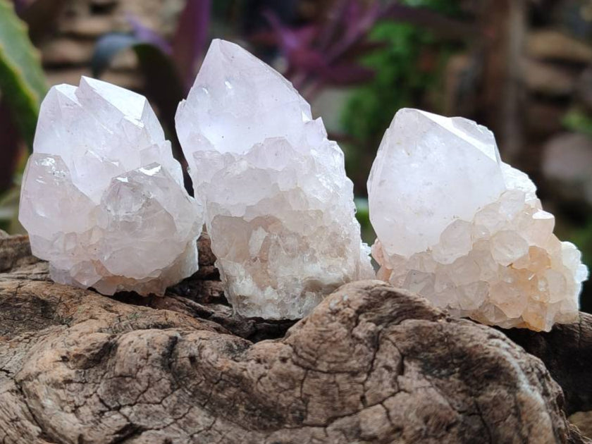 Natural Amethyst Spirit Quartz Clusters x 20 From Boekenhouthoek, South Africa - Toprock Gemstones and Minerals 