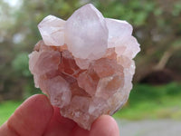 Natural Amethyst Spirit Quartz Clusters x 20 From Boekenhouthoek, South Africa