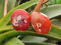Polished Carnelian Agate Gemstone Galets x 20 From Madagascar