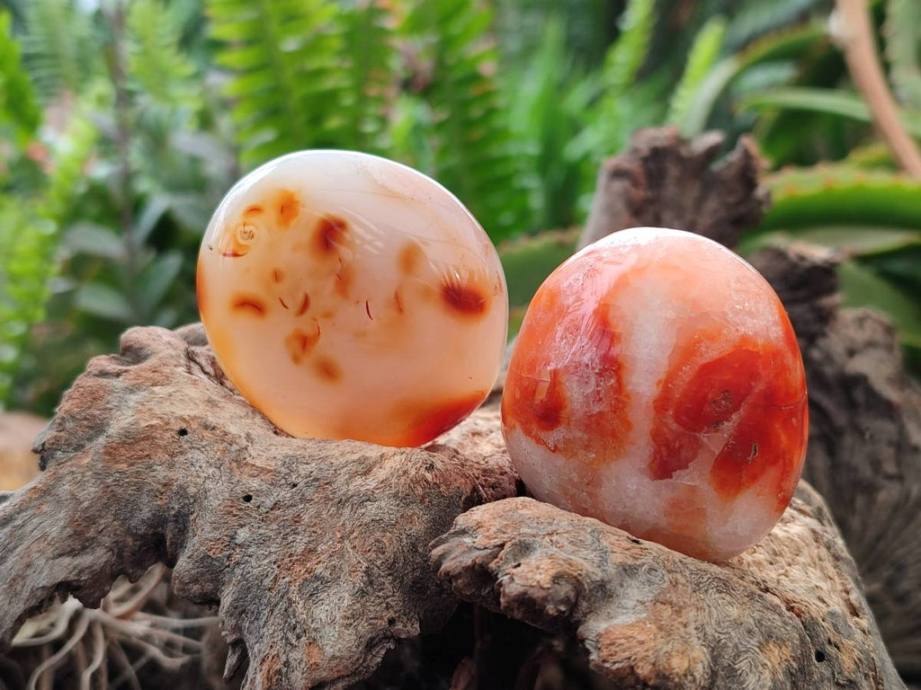 Polished Carnelian Agate Gemstone Galets x 20 From Madagascar - Toprock Gemstones and Minerals 